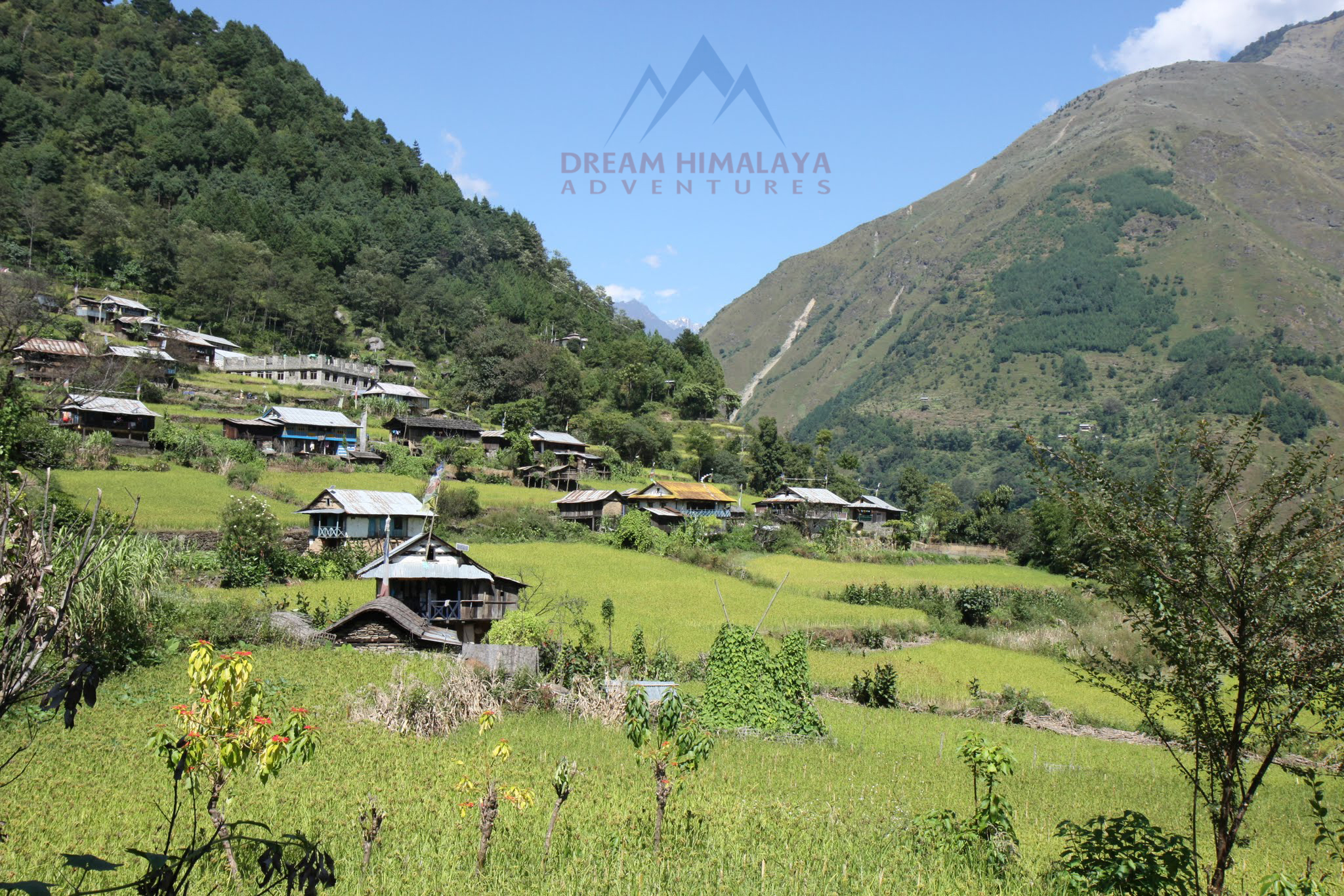 Lelep village Kanchenjunga Trekking 